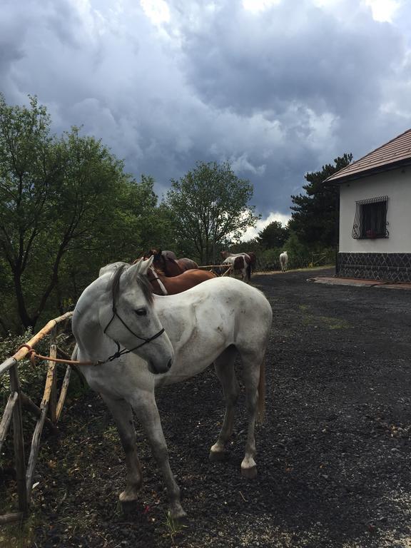 Hotel Villa Dorata Nicolosi Dış mekan fotoğraf